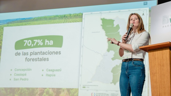 Sector forestal paraguayo exportó más de 187.000 toneladas en los últimos dos años