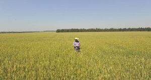 La Nación / UE prometió medidas de protección a los agricultores europeos en acuerdo con Mercosur
