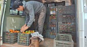 Productores Agropecuarios Chino Cue Poty colocaron 2.800 kg de tomate