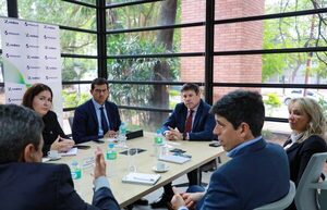 La empresa finlandesa Wärtsilä analiza posible instalación de una planta energética en Paraguay