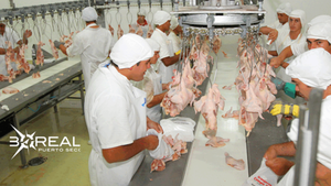 Carne aviar a Filipinas: primer envío se realizará en noviembre | Unicanal