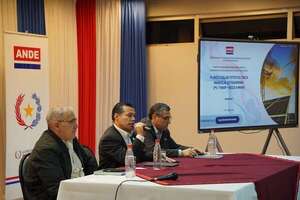ANDE  integra comité para nueva planta solar en el Chaco - Economía - ABC Color