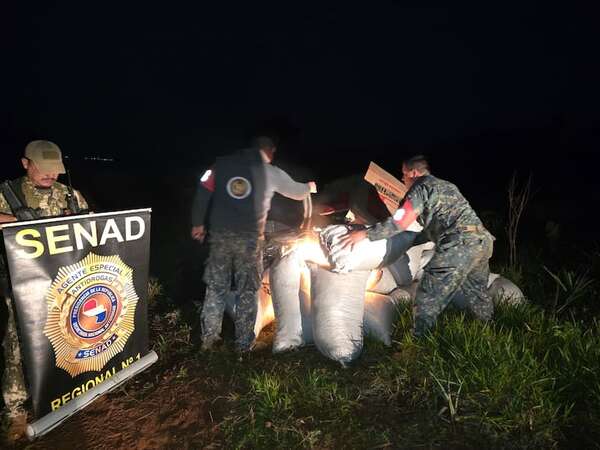 Incautan más de 2,5 toneladas de marihuana y “narcocamionetas” en Amambay - Policiales - ABC Color