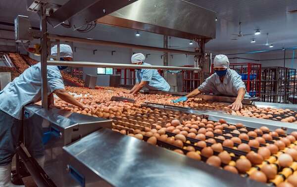 Una apuesta por la innovación y nutrición - Empresariales - ABC Color