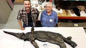 Identifican al "dragón espada", una nueva especie de reptil marino prehistórico
