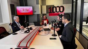 Consideran necesario frenar importación de vehículos usados por la «imagen país»