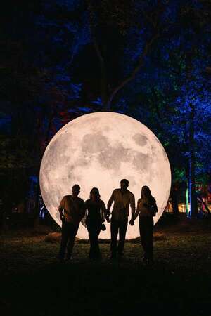 El bosque de luces de Asunción sigue brillando: Aura Lumina continuará hasta noviembre - Cultura - ABC Color