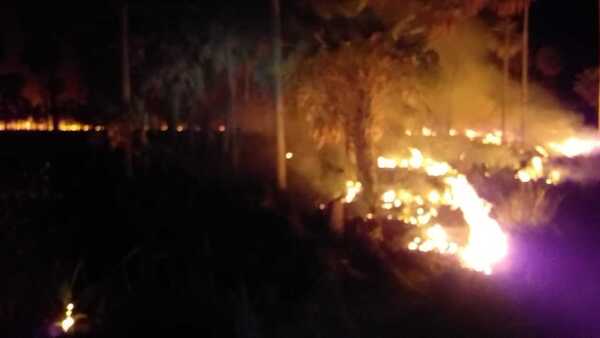 Bomberos trabajan para controlar incendio forestal en Presidente Hayes