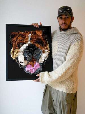 Lewis Hamilton se conmovió con un retrato de Roscoe, su perrito recién fallecido - Gente - ABC Color
