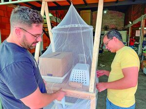Basura del Abasto se Transforma en Proteína Sostenible
