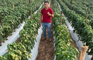 Gobierno destaca testimonio de éxito de Programa Hambre Cero