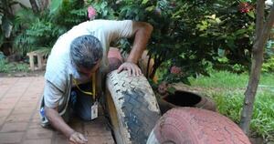La Nación / Se reportan seis casos de dengue y uno de chikungunya