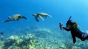 Paraguaya investiga cómo salvar los ecosistemas marinos desde Hawái