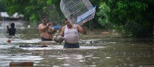 México: reportan 41 muertos y graves daños por lluvias