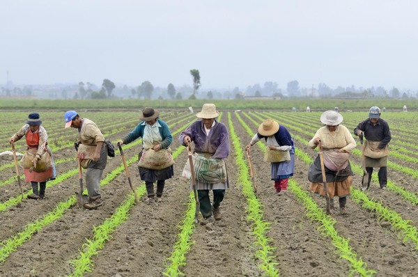 Un llamado urgente al consenso en favor de la agricultura de las Américas