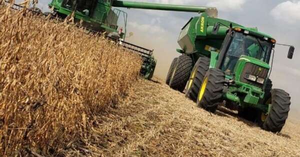 La Nación / Campaña sojera: destacan avance en la siembra, pero persiste incertidumbre en precios