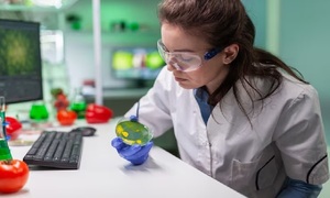 América Latina avanza en tecnología de frontera, pero la brecha entre países se profundiza - OviedoPress