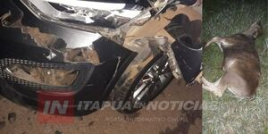  AUTOMÓVIL IMPACTÓ CONTRA UN ANIMAL VACUNO EN GENERAL DELGADO 