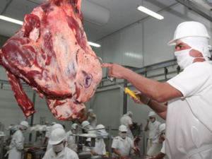 Exportaciones de carne bovina marcan récord