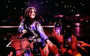 Popular / (VIDEO) ¡La cantante Billie Eilish sufre agresión de un fan durante su concierto en Miami!