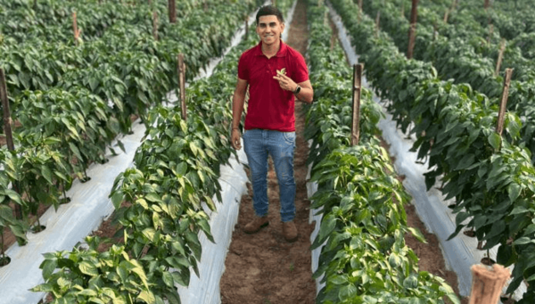 Emprendimiento agrícola crece con Hambre Cero y moviliza G. 300 millones en tres meses - Noticiero Paraguay