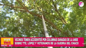 Vecinos del Barrio San Pablo piden urgente reparación de columnas de la ANDE