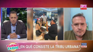 Tribus Urbanas: Delito como rito de pertenencia y no de necesidad económica
