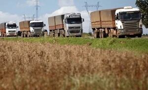 Paraguay tiene potencial de crecimiento, pero la infraestructura limita beneficios, advierte UGP - Economía - ABC Color