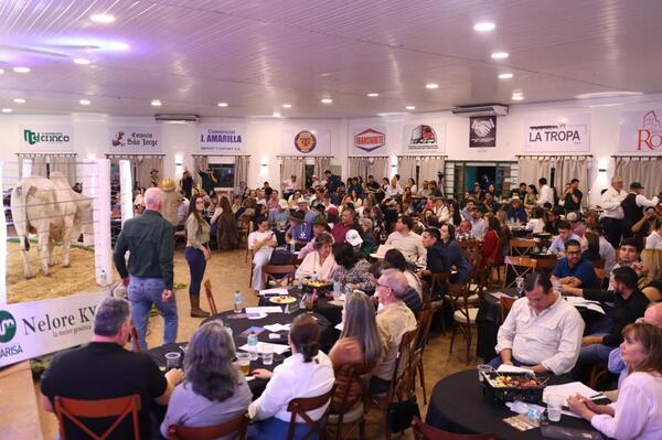 Fuerte demanda por hembras marcó el remate de reproductores de Arroba en Expo Amambay