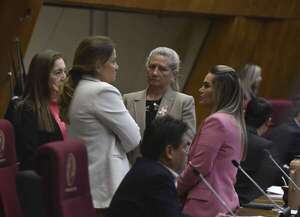 En Diputados, el cartismo intentará hoy, por novena vez, sepultar la transparencia - Política - ABC Color