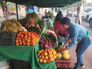 Concepción: productores esperan obtener buenas ventas en tradicional feria campesina  - Nacionales - ABC Color