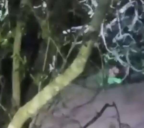 Milagro en el Monday: hombre sobrevive tras caer de una balsa en Minga Guazú - ABC en el Este - ABC Color