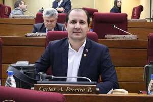 Diputados ven a China Continental como un interesante aliado para intercambio comercial - Política - ABC Color