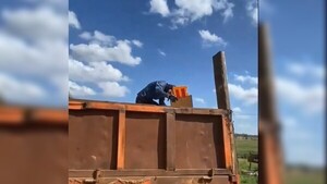 Recolectores llevaron maqueta de estudiantes