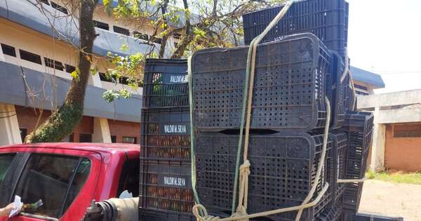 La Nación / Amambay: se incautan de 2 toneladas de frutas y hortalizas que ingresaban de contrabando