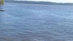 Popular / Macabro: Flota un te'ongue en el río Paraná
