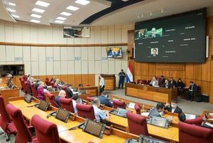 Popular / Senado: Debaten sobre seguridad a periodistas