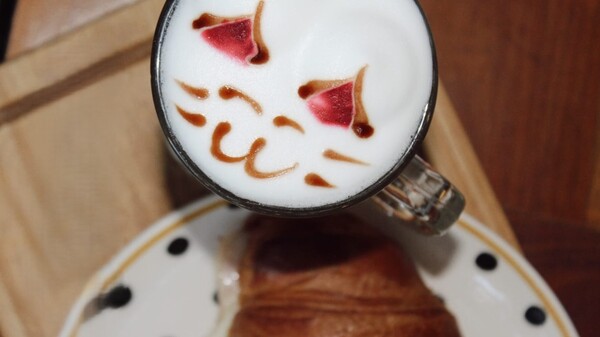Nacido del amor por los gatos y el café, Coffee Cat se convirtió en un refugio de calma, empatía y buena energía en Asunción