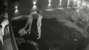Mujer es golpeada por primo de su pareja en ataque por supuesta venganza