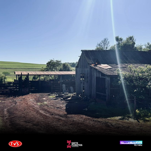 GOLPEARON Y MANIATARON A UN CAPATAZ PARA ROBAR SEIS ANIMALES EN CARLOS ANTONIO LÓPEZ - «TVS DIGITAL»