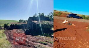 ABIGEOS GOLPEARON BRUTALMENTE A UN CAPATAZ Y ROBARON SEIS ANIMALES