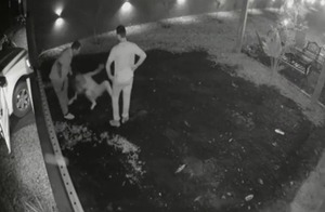 Vídeo: Imputan a brasileño por brutal agresión a mujer en Abaí - ADN Digital