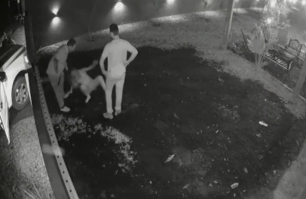 Vídeo: Imputan a brasileño por brutal agresión a mujer en Abaí - ADN Digital