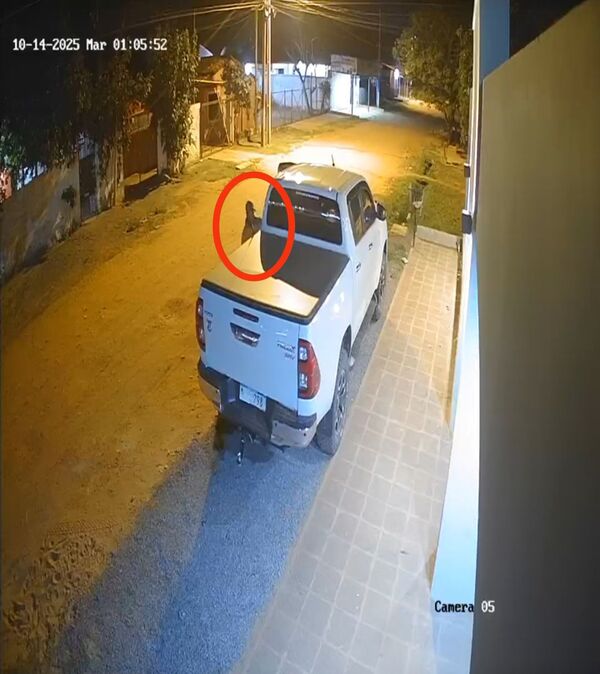 Hurtan dinero y objetos de una camioneta en barrio San Roque - Concepción al Día