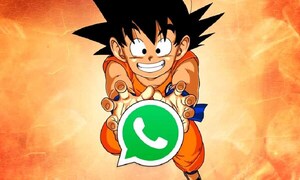 Activa tu propio Ultra instinto: La guía para tener un WhatsApp en modo Goku – Prensa 5