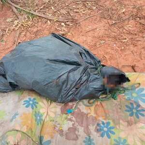 Hallan cadáver envuelto con carpa y atado con cuerdas en Zanja Pytã - Policiales - ABC Color