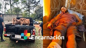 Capataz mintió: contrató a sus amigos para golpearlo y fingir robo de ganados