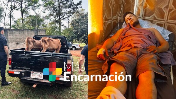 Capataz mintió: contrató a sus amigos para golpearlo y fingir robo de ganados
