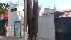 Popular / ¿Mafia de los pagarés? Hallaron montón de documentos en una vivienda en Lambercity