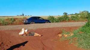 Capataz fue brutalmente golpeado y maniatado por abigeos que se llevaron seis animales vacunos